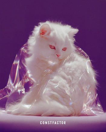 Tシャツ【 MEOWTAVERSE／PLASTIC SIREN 】（7498262）ブラック
