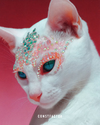 Tシャツ【 MEOWTAVERSE／OPALESCENT WITCH 】（2304031）ブラック