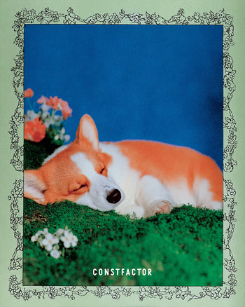 ロングスリーブTシャツ【 IN CASE OF NOTHING 】（3377711）ホワイト